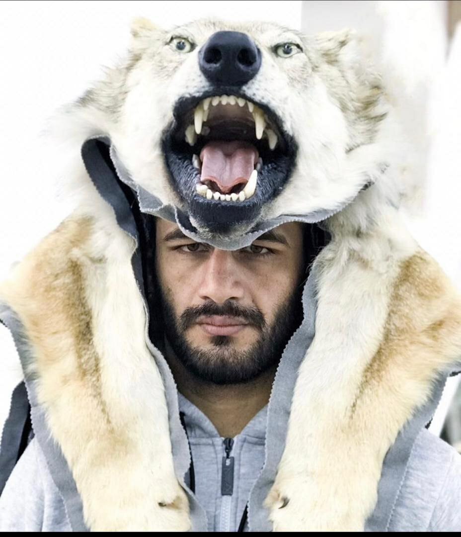 وحید مرادی شیر قفس